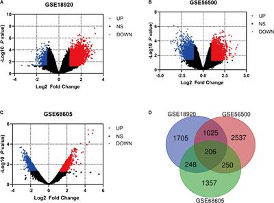 Key Molecules and Pathways Underlying Sporadic Amyotrophic Lateral Sclerosis: Integrated Analysis on Gene Expression Profiles of Motor Neurons